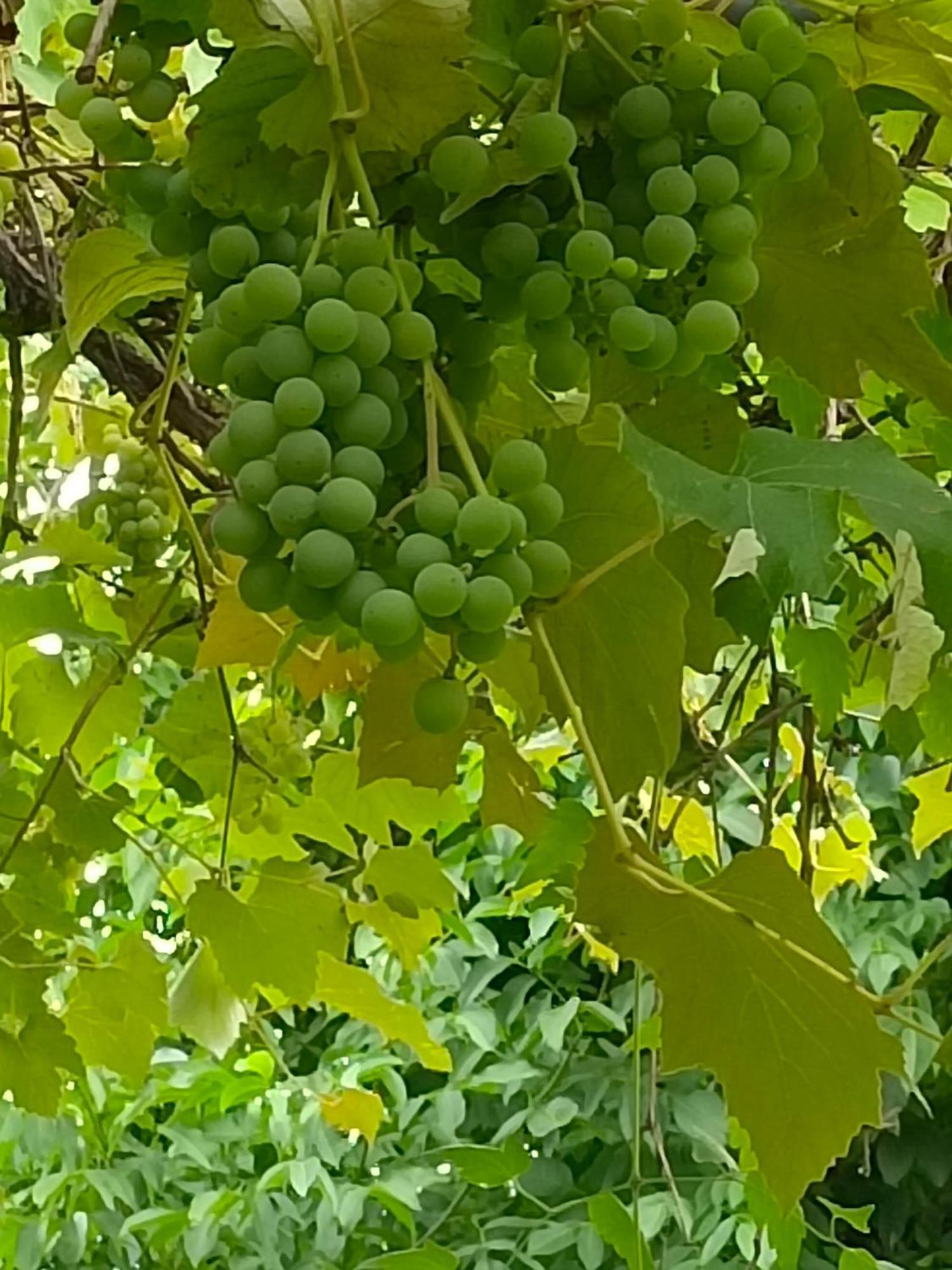 Dimora San Lorenzo Maggio Rum bild